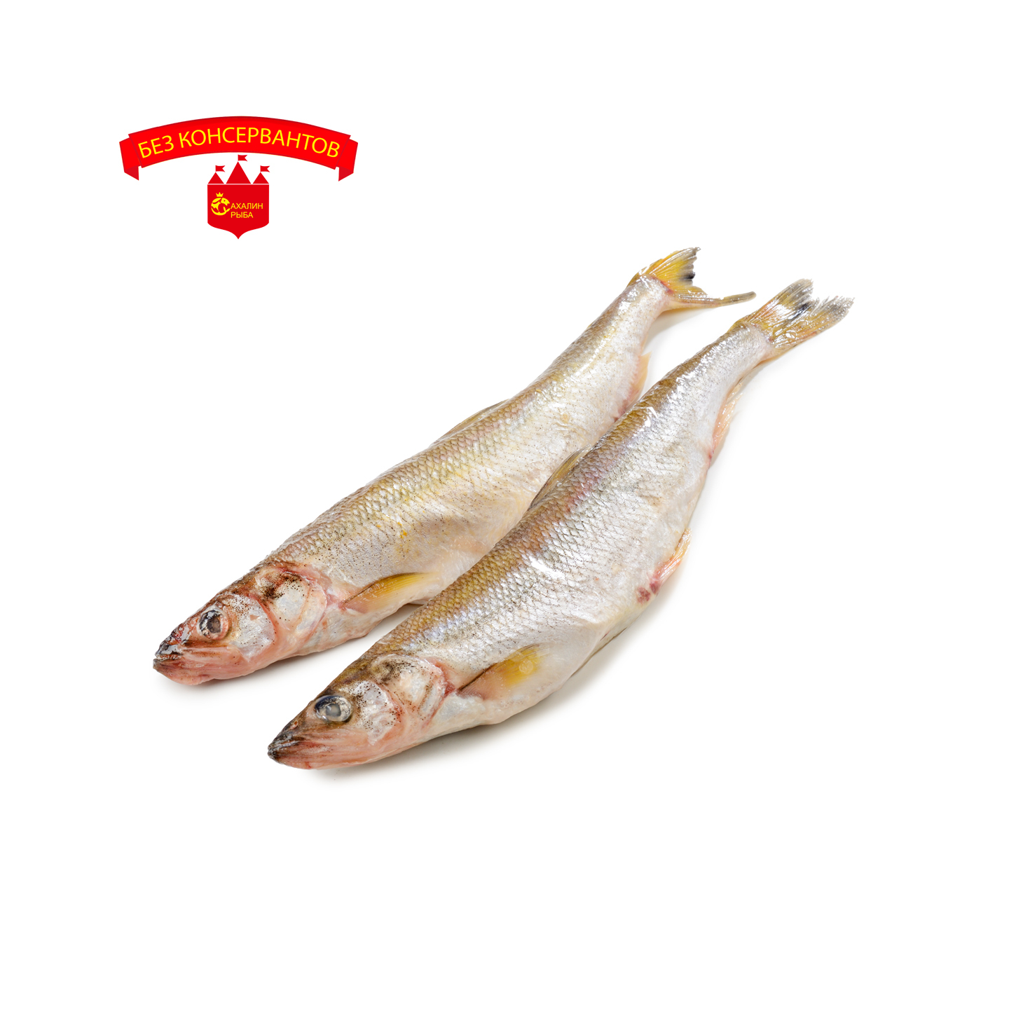 Корюшка Камчатская с/м 1кг.